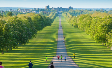 Windsor Great Park