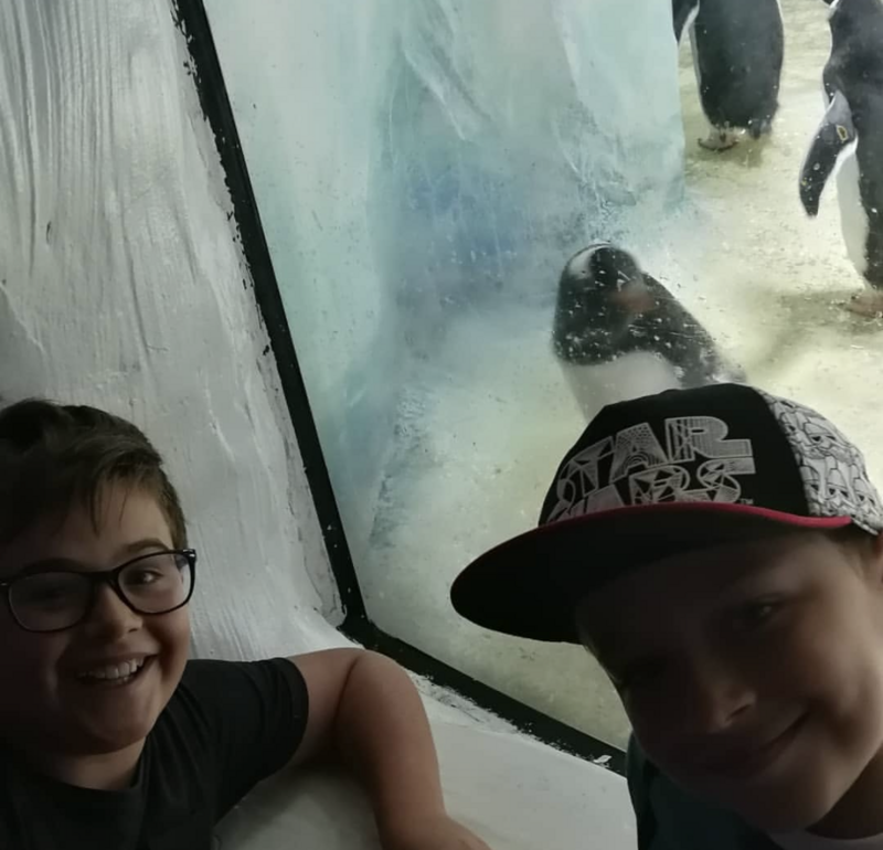 Natalie's two sons are pictured in front of the penguin exhibit at Sea Life Birmingham. You can see ice and two penguins behind them, as they smile at the camera