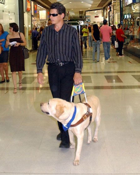 Visually impaired man with assistance dog