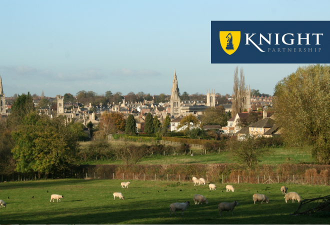 Sheep in a field in the foreground and a village in the background
