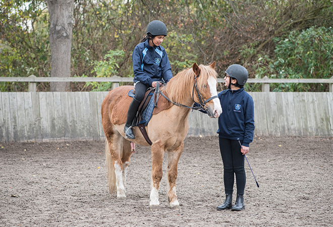 "A photo of a child riding a horse"