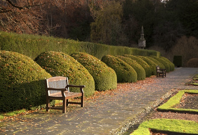 "Photo of gardens around Newbattle Abbey College with a bench to the left on a path that runs straight down and bushes to the left. There are grassed areas to the right."