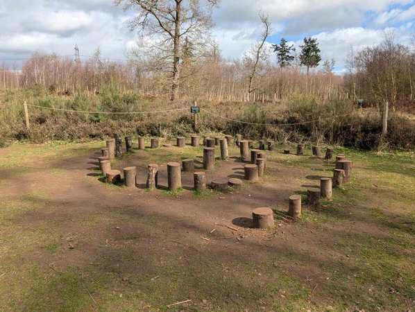A circular outdoor seating area made of wooden log stumps is set within a grassy clearing, surrounded by trees and low vegetation under a partly cloudy sky
