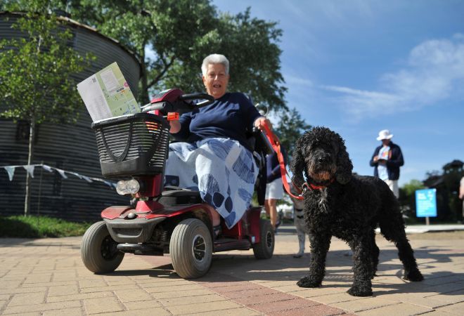 "Femme presenting person using an electric scooter with a black poodle accompanying her with a red lead"