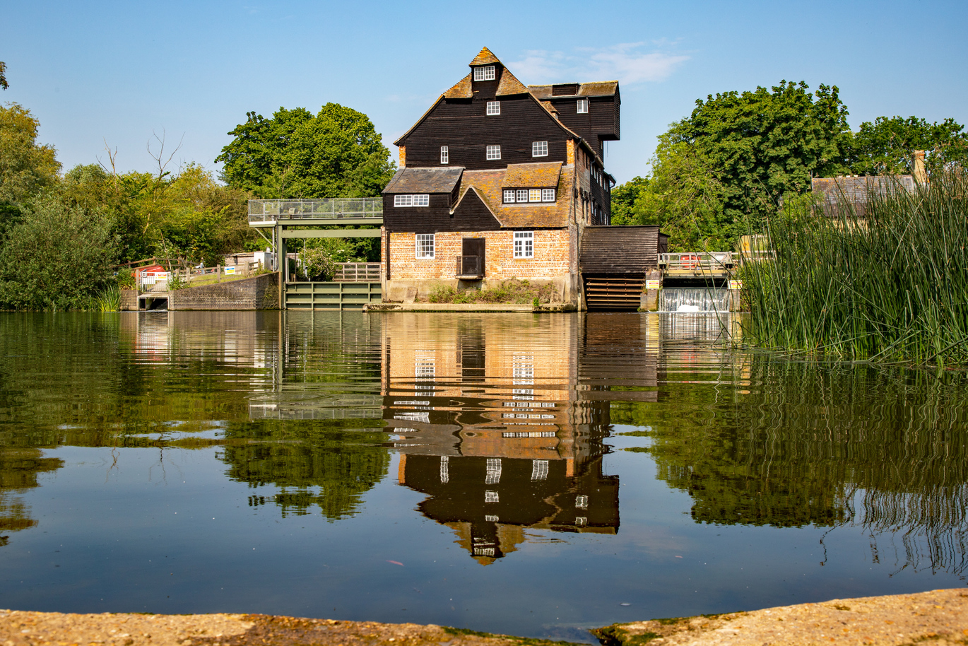 The 18th-century watermill at Houghton Mill and Waterclose Meadows sitting on top of a lake surrounded by trees with reeds in the lake and the blue sky above.