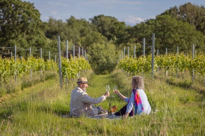 "A vineyard in the county"