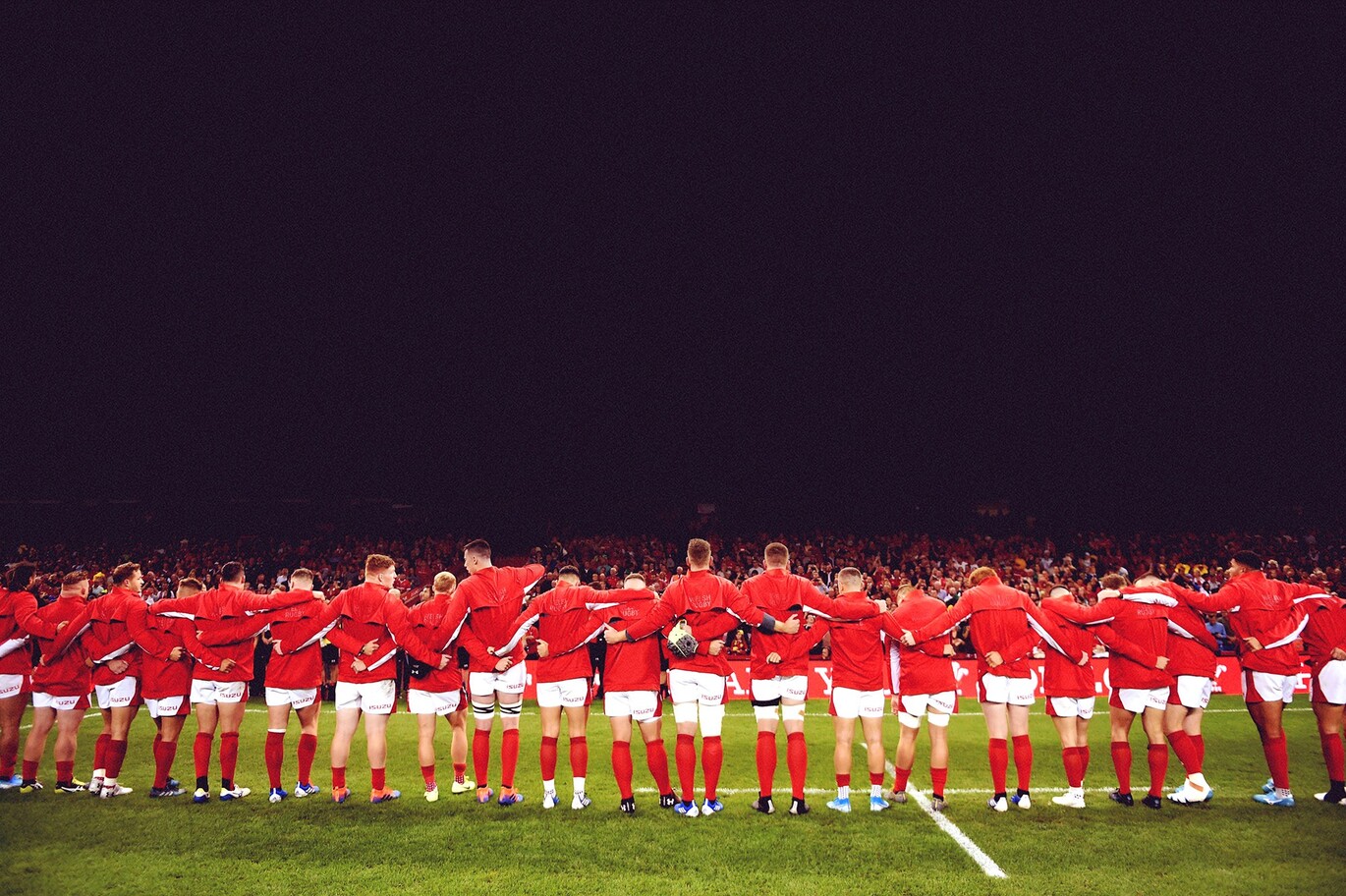"Men's Welsh Rugby Union players standing in a line"