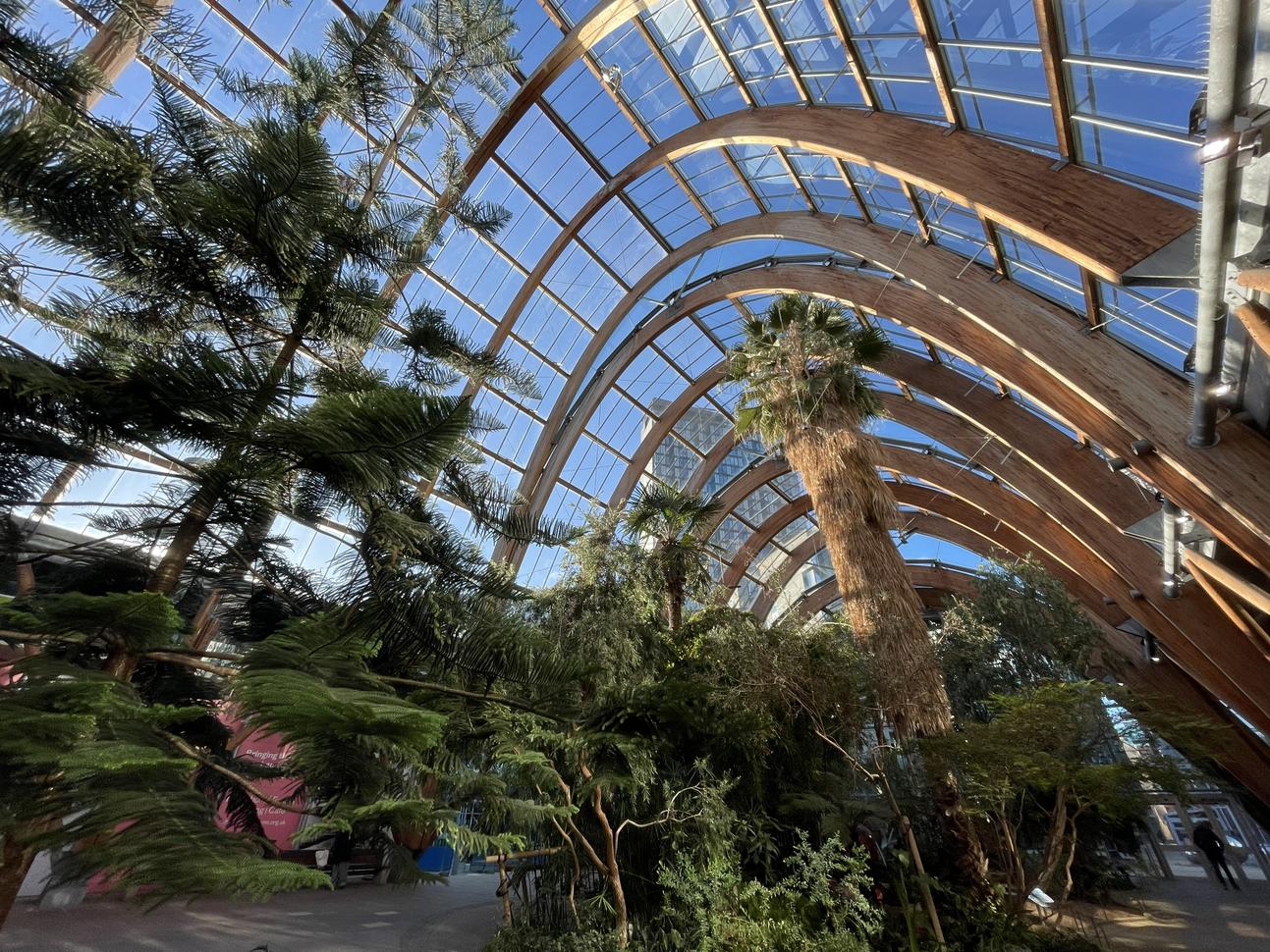 "Photo of the inside of Sheffield Winter Garden"