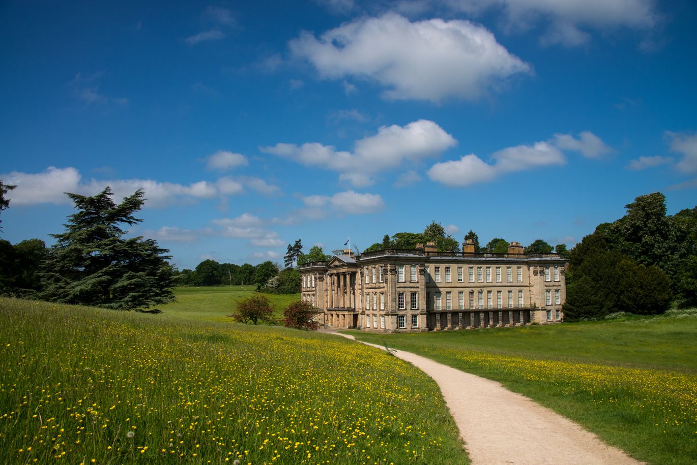 Blue sky, mansion and buttercup meadow at Calke Abbey, Derbyshire. The mansion is stone built with big pillars at the front and a flag right at the top of the entrance, the building is covered in rectangular shaped windows and there is a black fence around the outside of the roof, the roof also has a number of large chimneys. There is a light coloured stone path leading up to the mansion with lovely green fields either side covered in buttercups. There are more fields with sheep and trees beyond the building and behind the building are many trees.