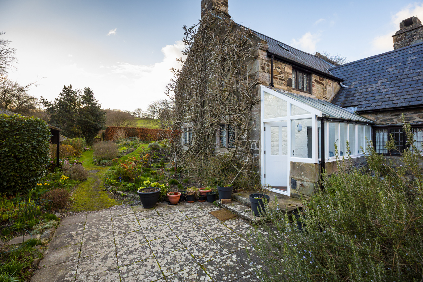 View of the exterior of the house with ivy branches climbing up the side. There is a small patio which then leads out to the lawn which is covered with many plants and flowers.
