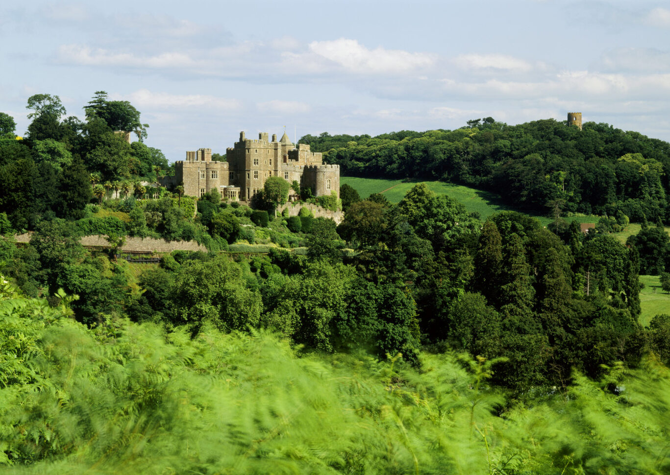 A long view looking over bracken and trees to Dunster Castle on top of a hill with another tower visible in the distance surrounded by lots of lush greenery.