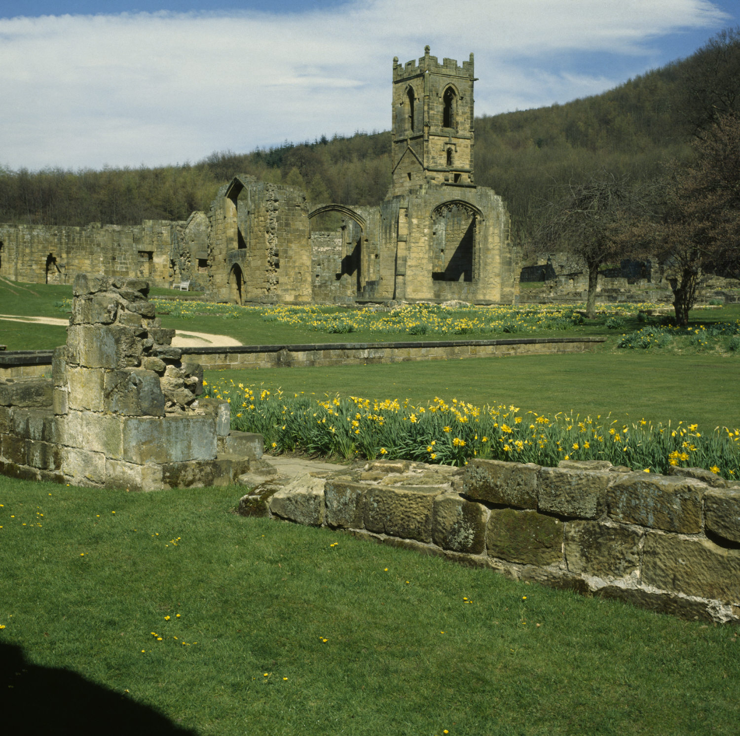 Mount Grace Priory, House and Gardens - National Trust