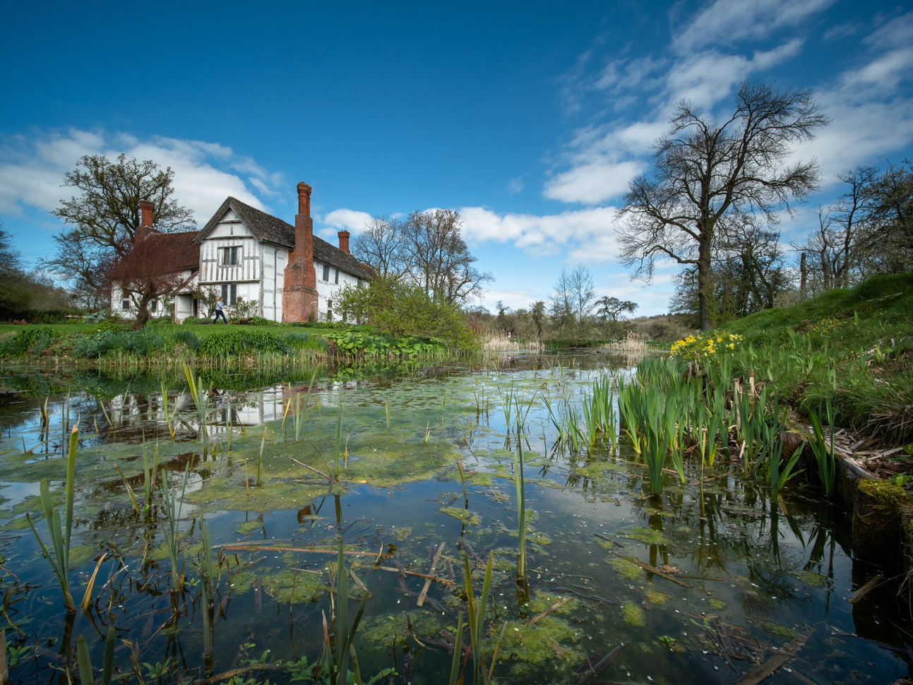 A cottage like house with a few trees surrounding sitting on top of a green hillside with a pond in front with lots of reeds and plantation in.