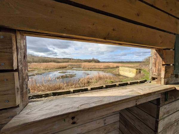 A view from inside a wooden bird hide looks out over a wetland with water, reeds, and grassy banks under a partly cloudy sky