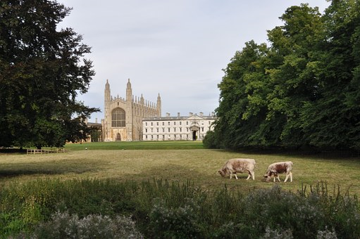 Photo of King's College in Cambridge