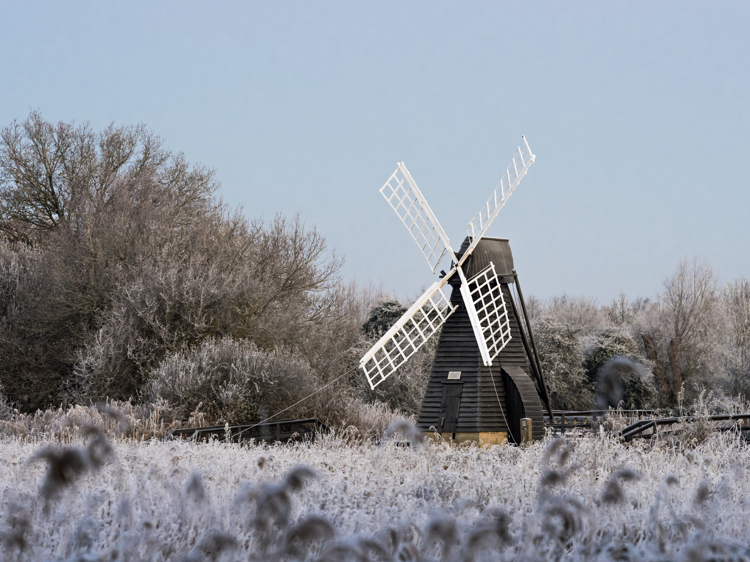 Wicken Fen National Nature Reserve - National Trust
