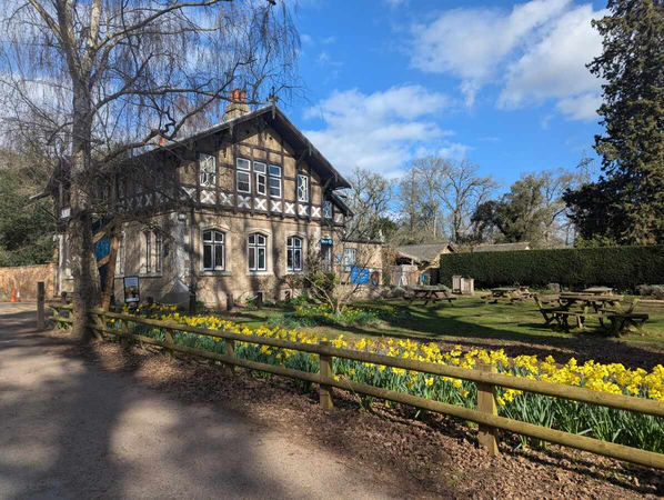 A traditional timber-framed building with outdoor picnic tables sits beside a fenced garden with blooming yellow flowers under a bright blue sky