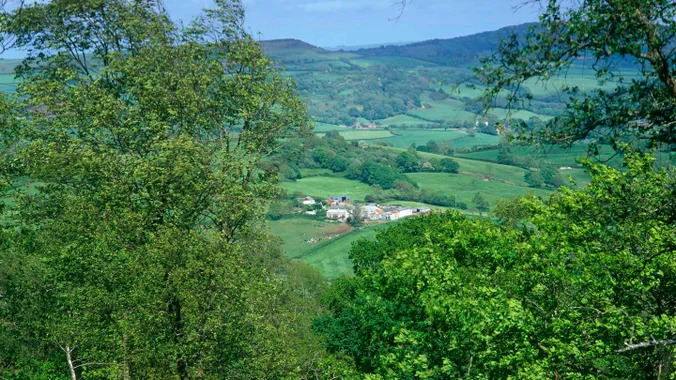 A distant view from a high hill through trees of Lambert's and Coney's Castle surrounded by many green fields.