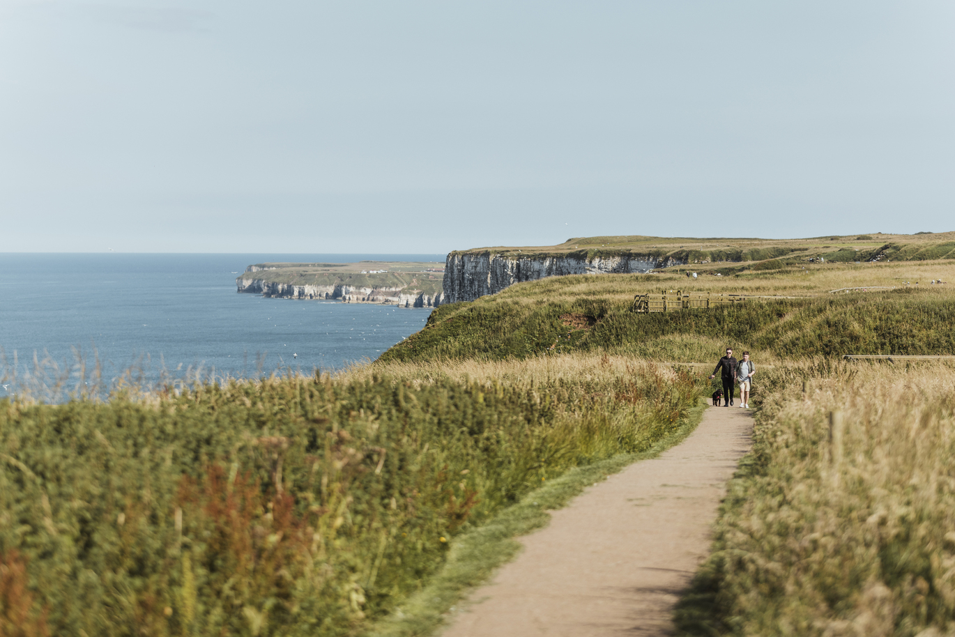 Bempton Cliffs 