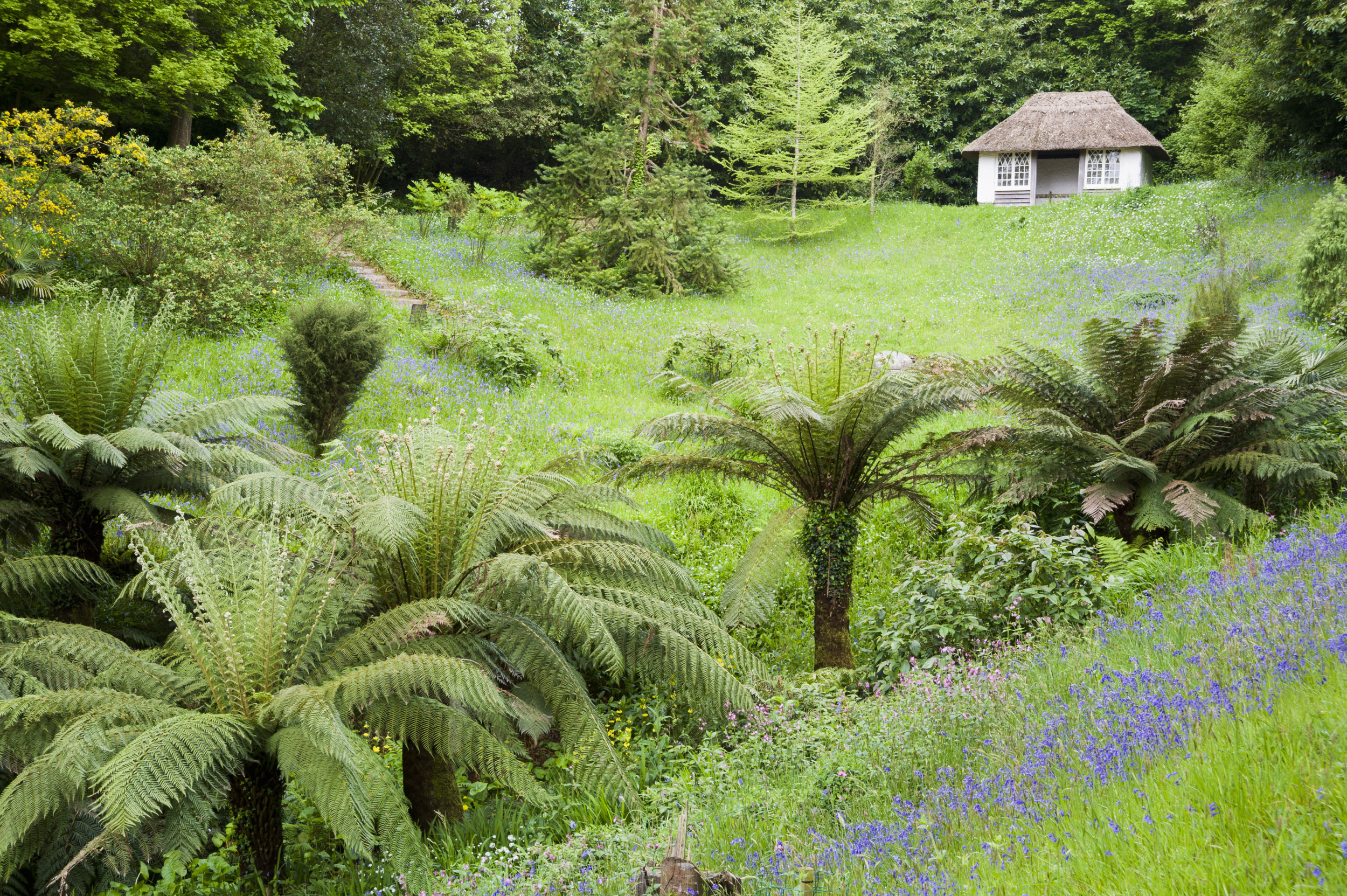 Glendurgan Garden - National Trust