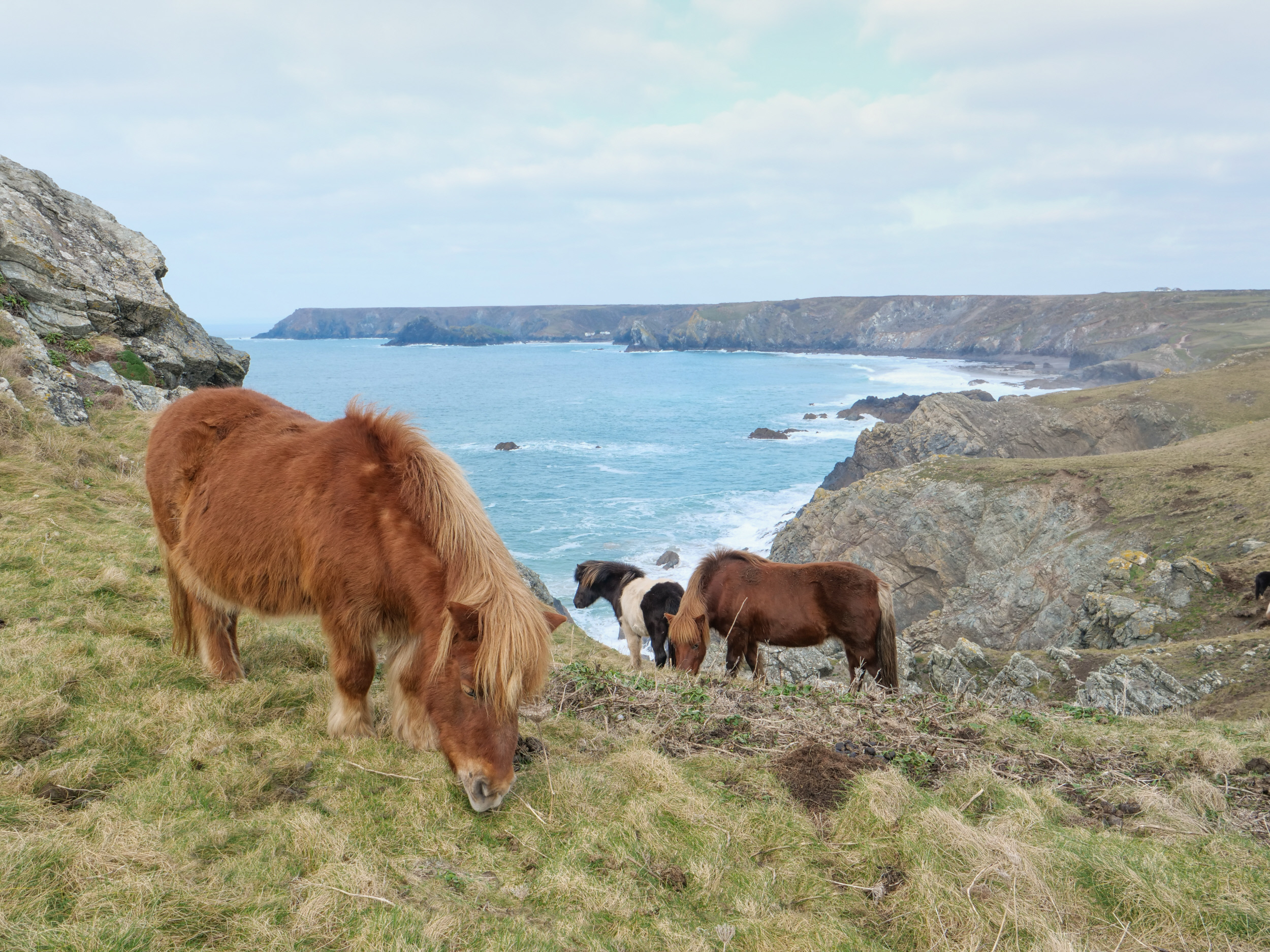 Lizard Point - National Trust