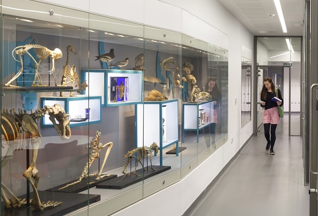 "Image of University of Bristol"