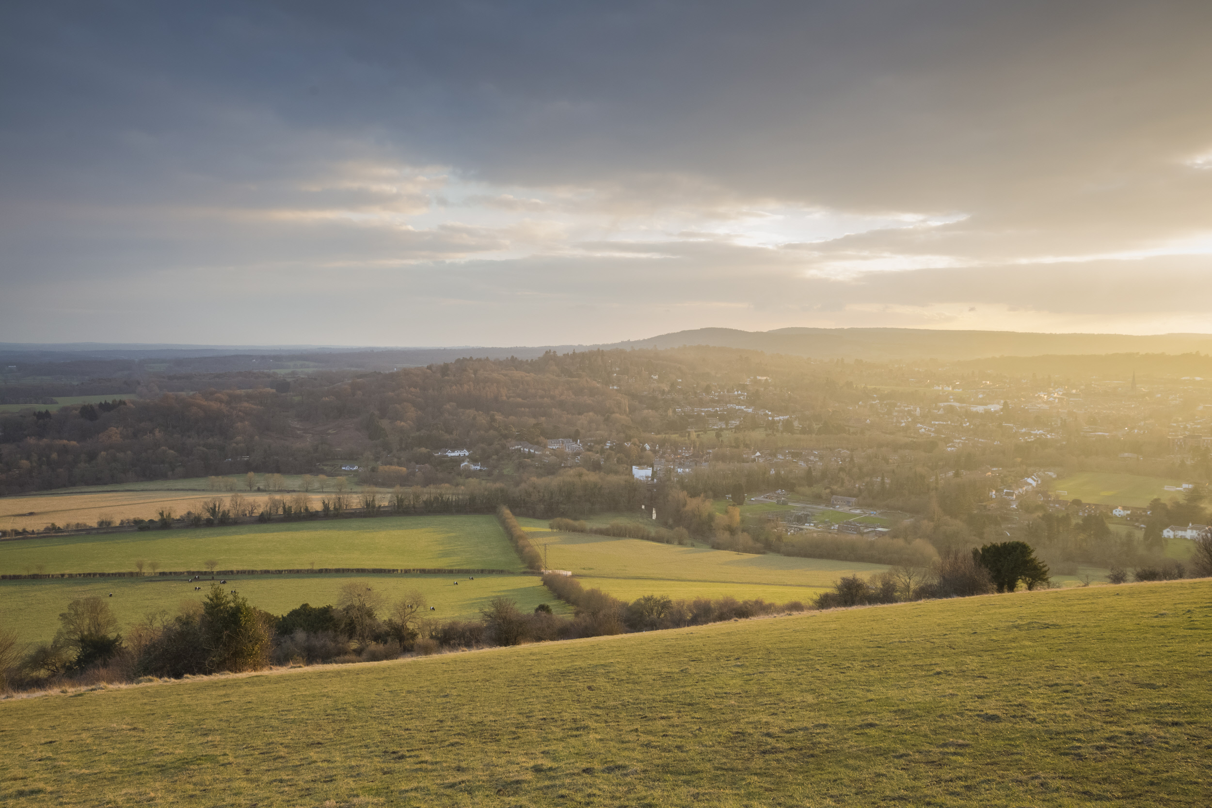 Box Hill - National Trust