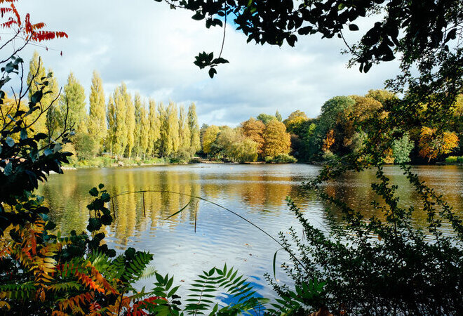 Trees and Open Water 