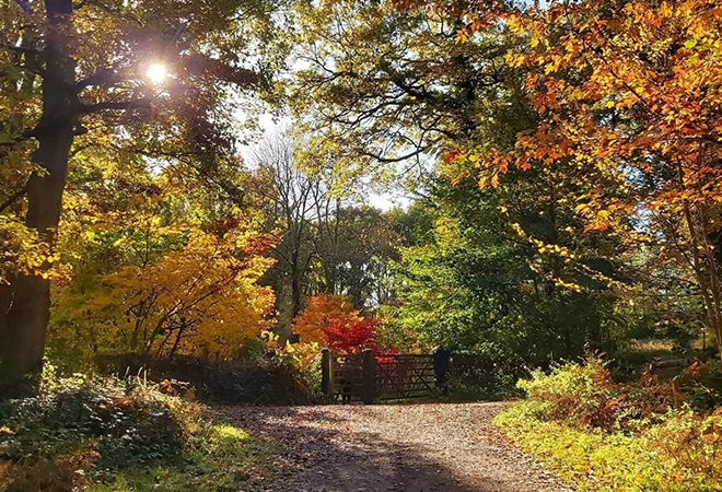 Queenswood Arboretum 