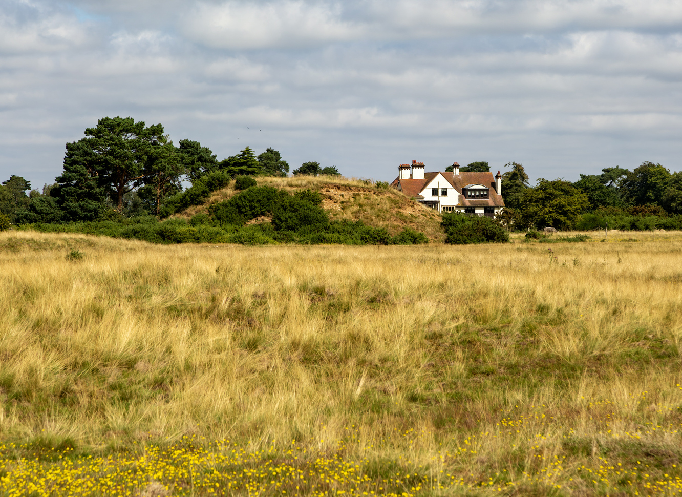 View through the fields toward a mound with Tranmer House behind surrounded by many green trees.