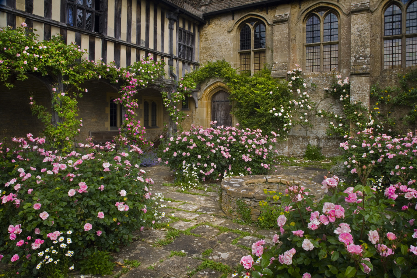 Roses scramble along the building and around the well in the Inner Court at the fifteenth-century Great Chalfield Manor.