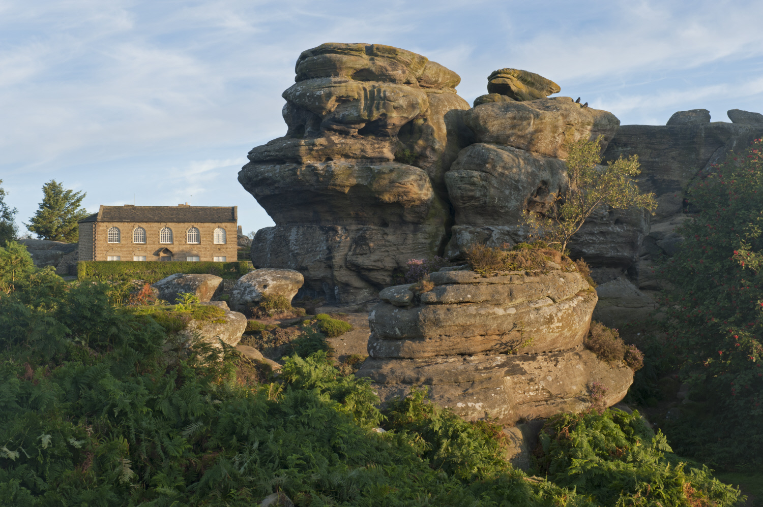 Brimham Rocks - National Trust