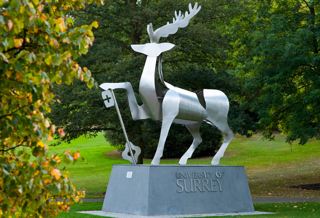 "Image of University of Surrey"