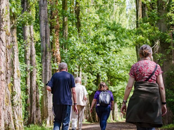 "A group of people walking away from the camera along a trail in woodland"