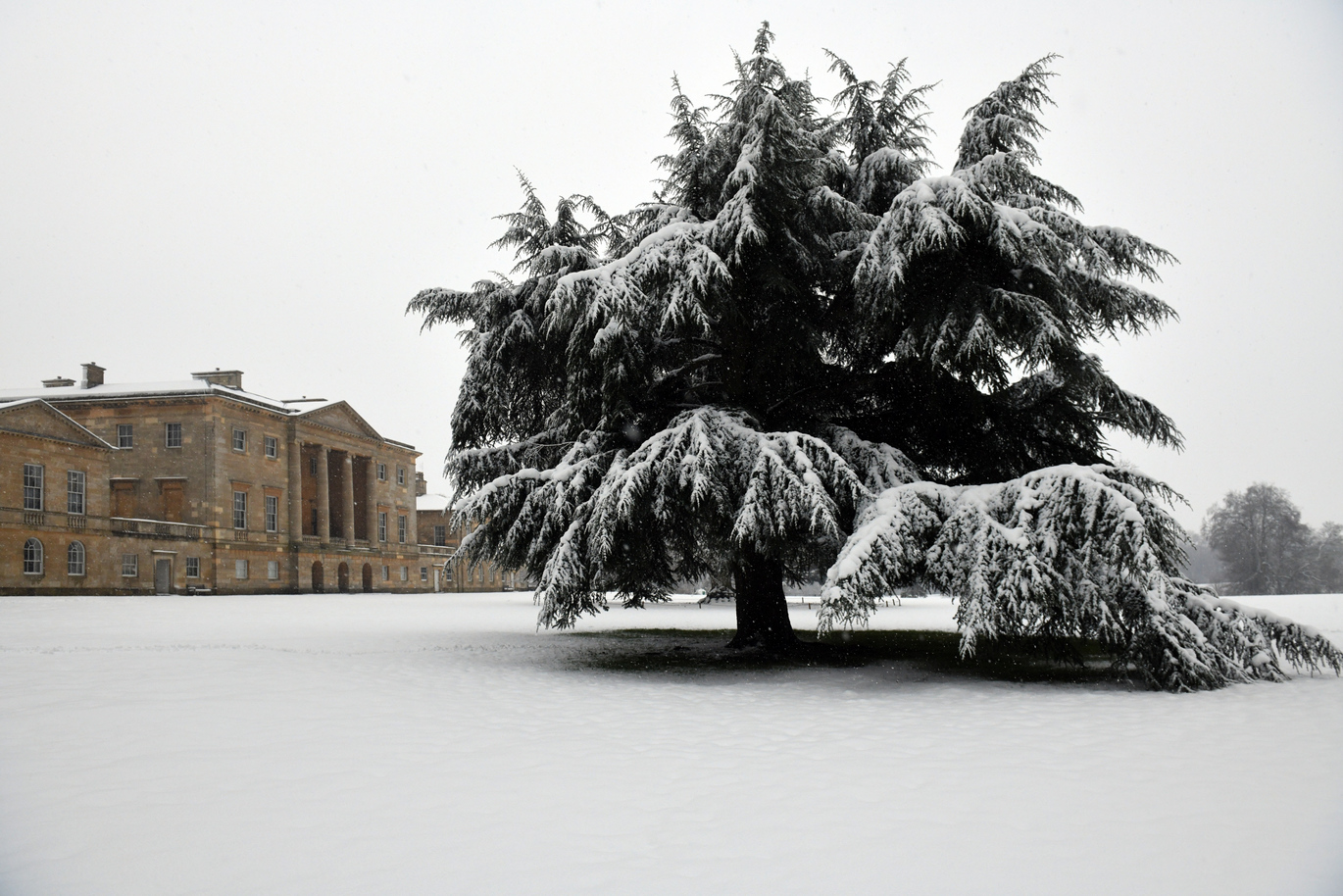 View of the 18th century historic house through the snowy parklands with a snow covered tree in the foreground. 