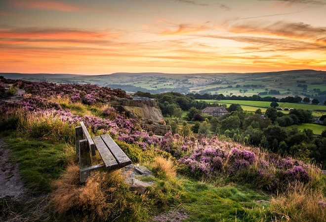 a bench overlooking a valley adorned with lavender flowers, the sun is beginning to set making the sky orange