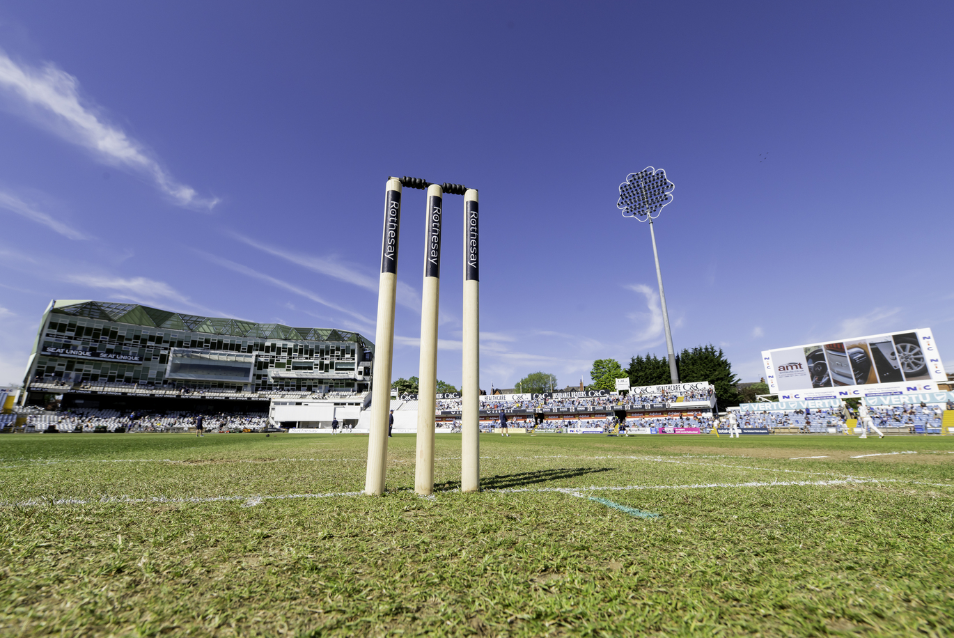 stumps in the glorious sunshine