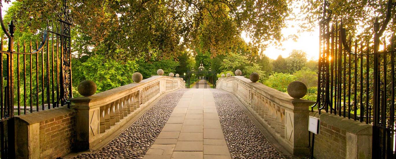 Bridge Golden Sunlight
