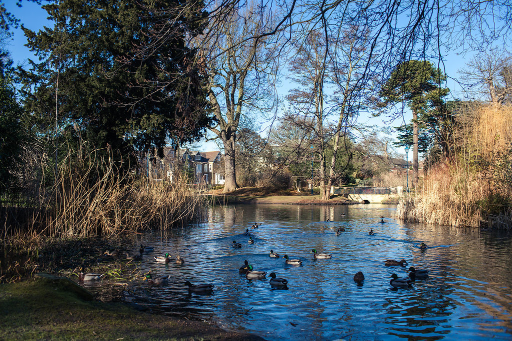 "Herschel Park in Slough"