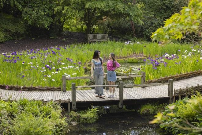 "Wakehurst in West Sussex - a green field with flowers and two people walking along a bridge over a stream"