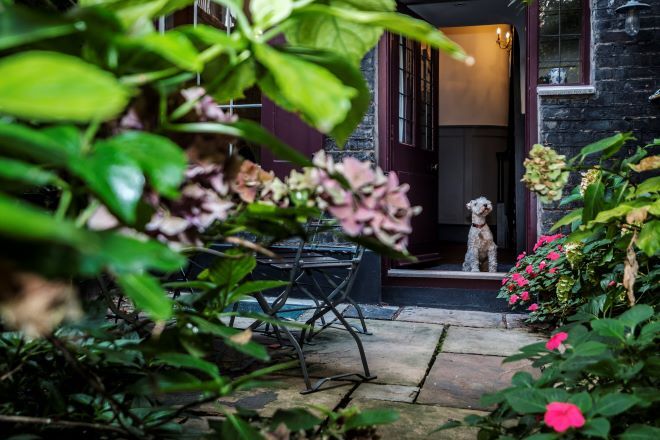 "Photo taken from behind a flower bush, in a stone paved back garden. The back door is in view, with a white dog sitting in the doorway."