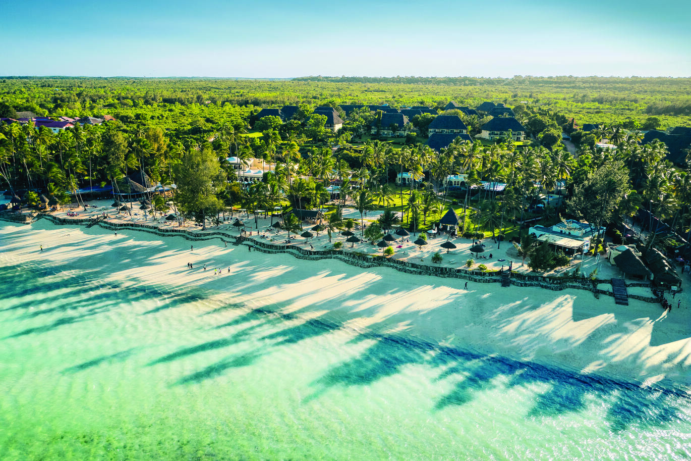 Aerial view above the sea of people walking on the beach and the hotel complex behind, just visible through the forest of trees seen for miles.