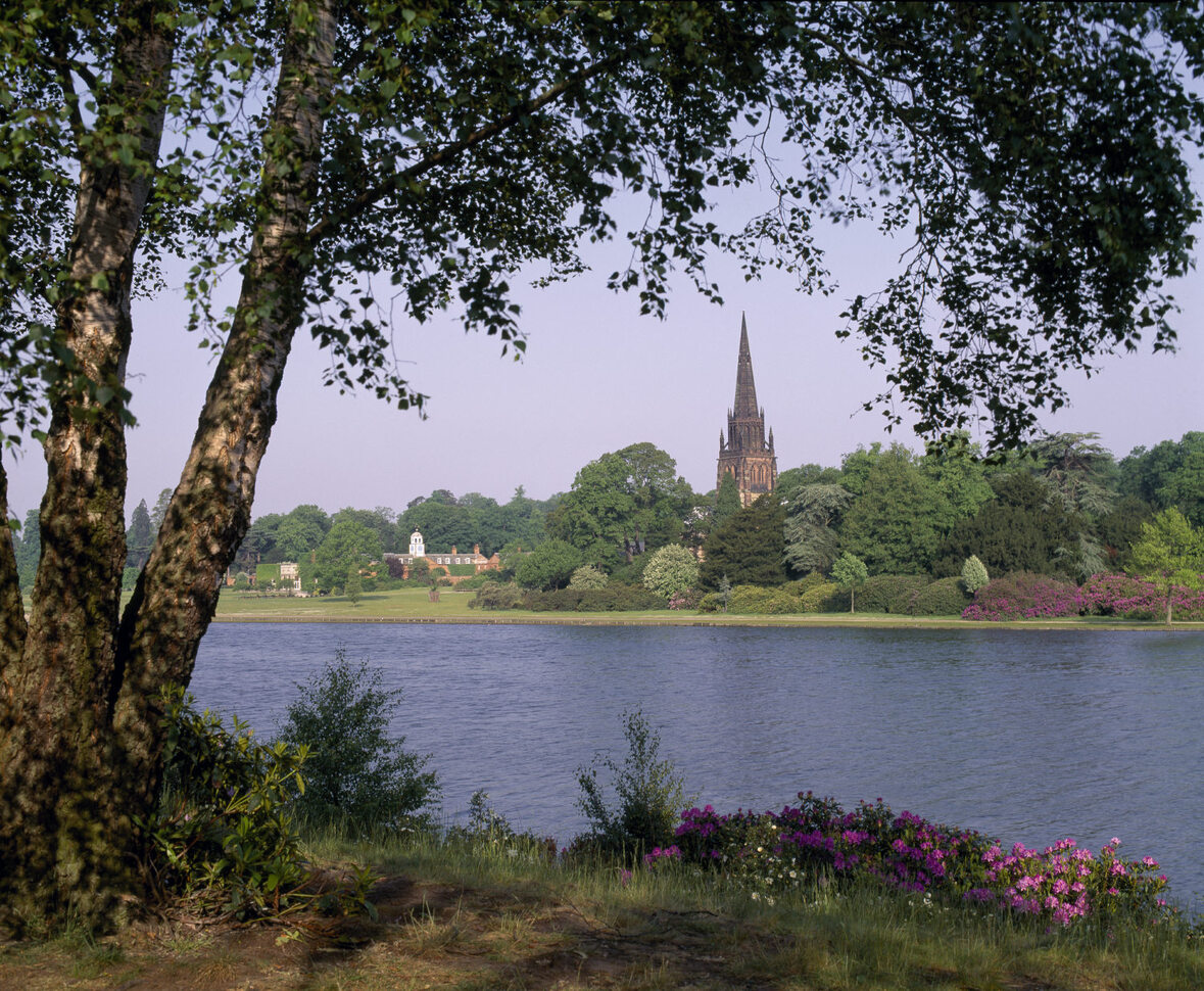 "The view over the lake at Clumber Park towards the Chapel in the background surrounded by trees. In the foreground is a tree and flowers on the verge of the water."