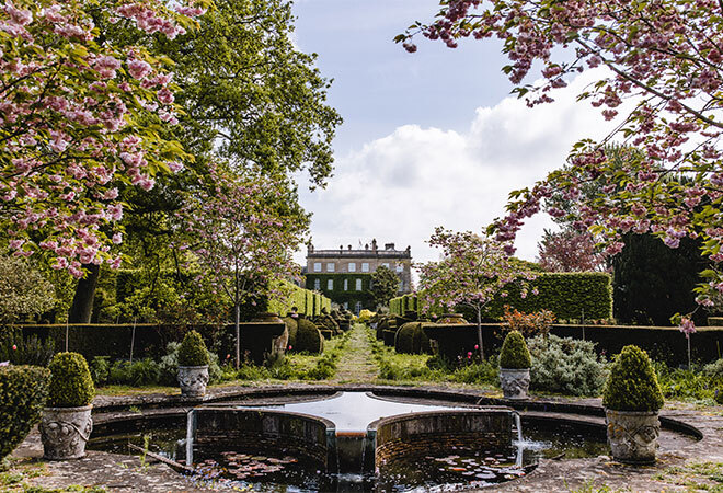 "Lily Pool Garden"