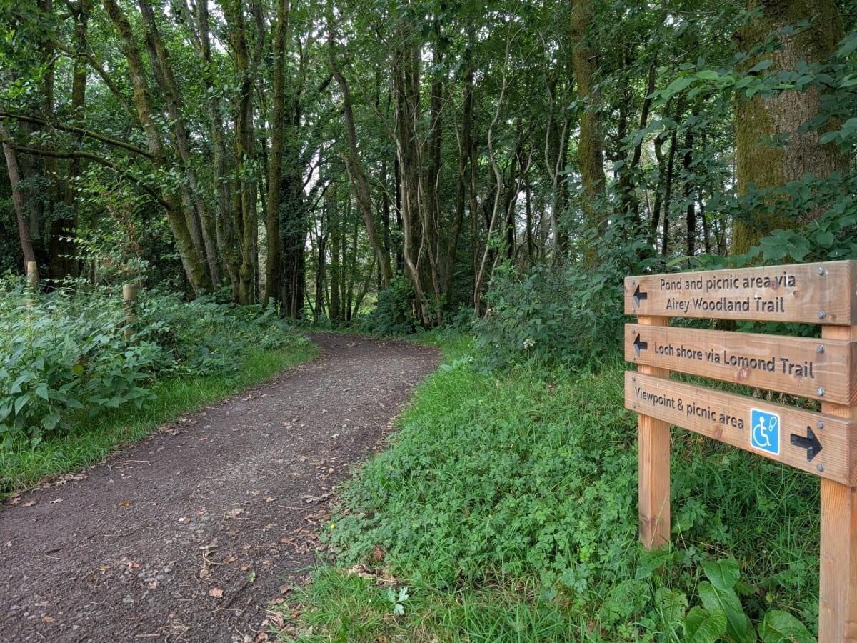 A scenic woodland trail with directional signs for picnic areas and viewpoints, surrounded by lush greenery and trees.