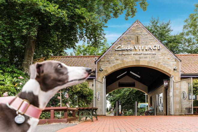 "Entrance to Clarks Village outlet with arched stone gateway and dog in foreground on a paved walkway."