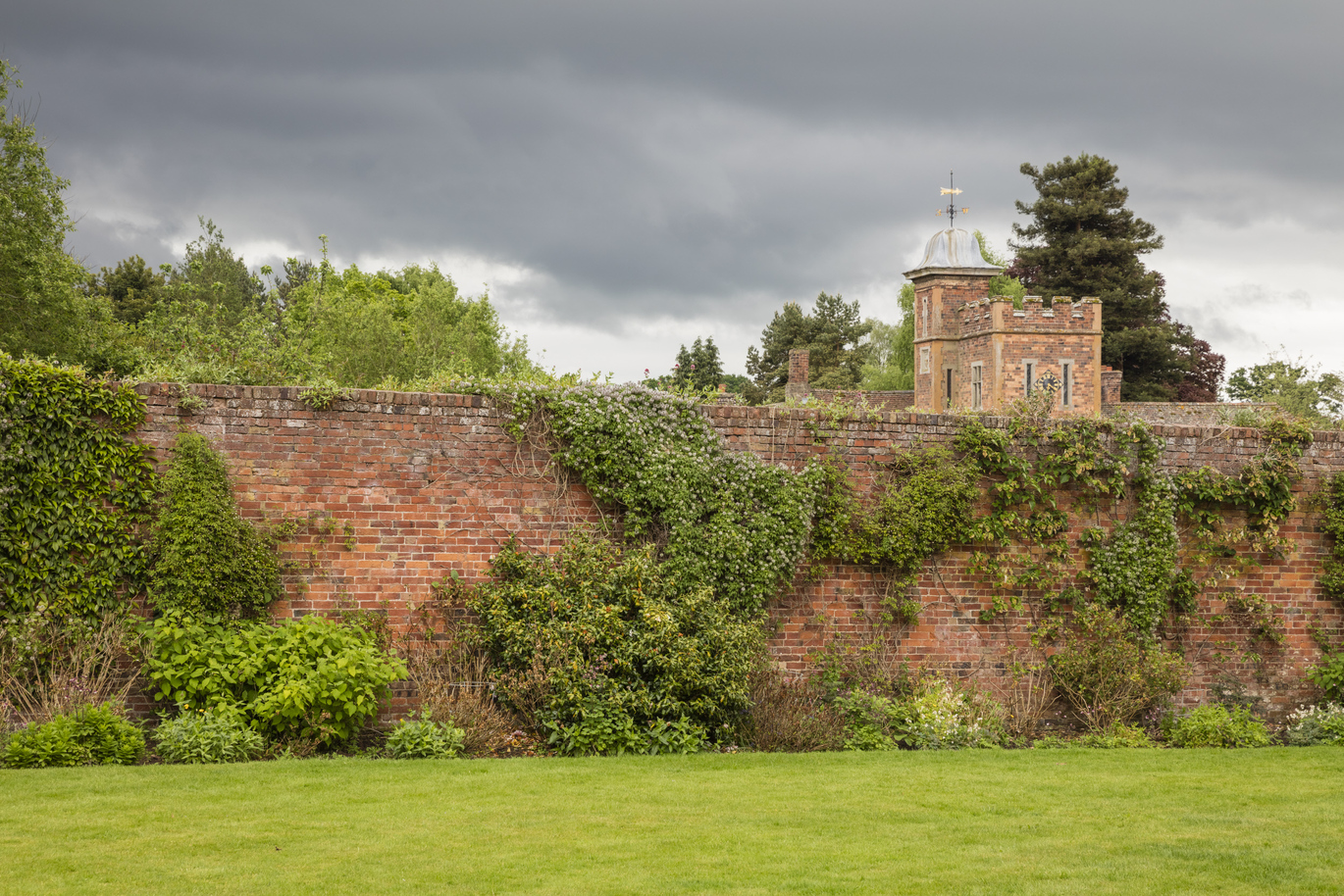 A tall brick wall covered with greenery and shrubbery at the bottom with a brick clock tower behind, in front of the wall is a lush green lawn.