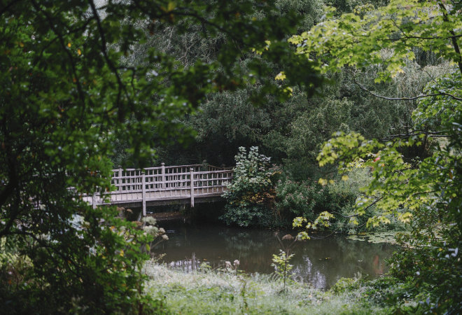 Bridge in the Himalayan Garden