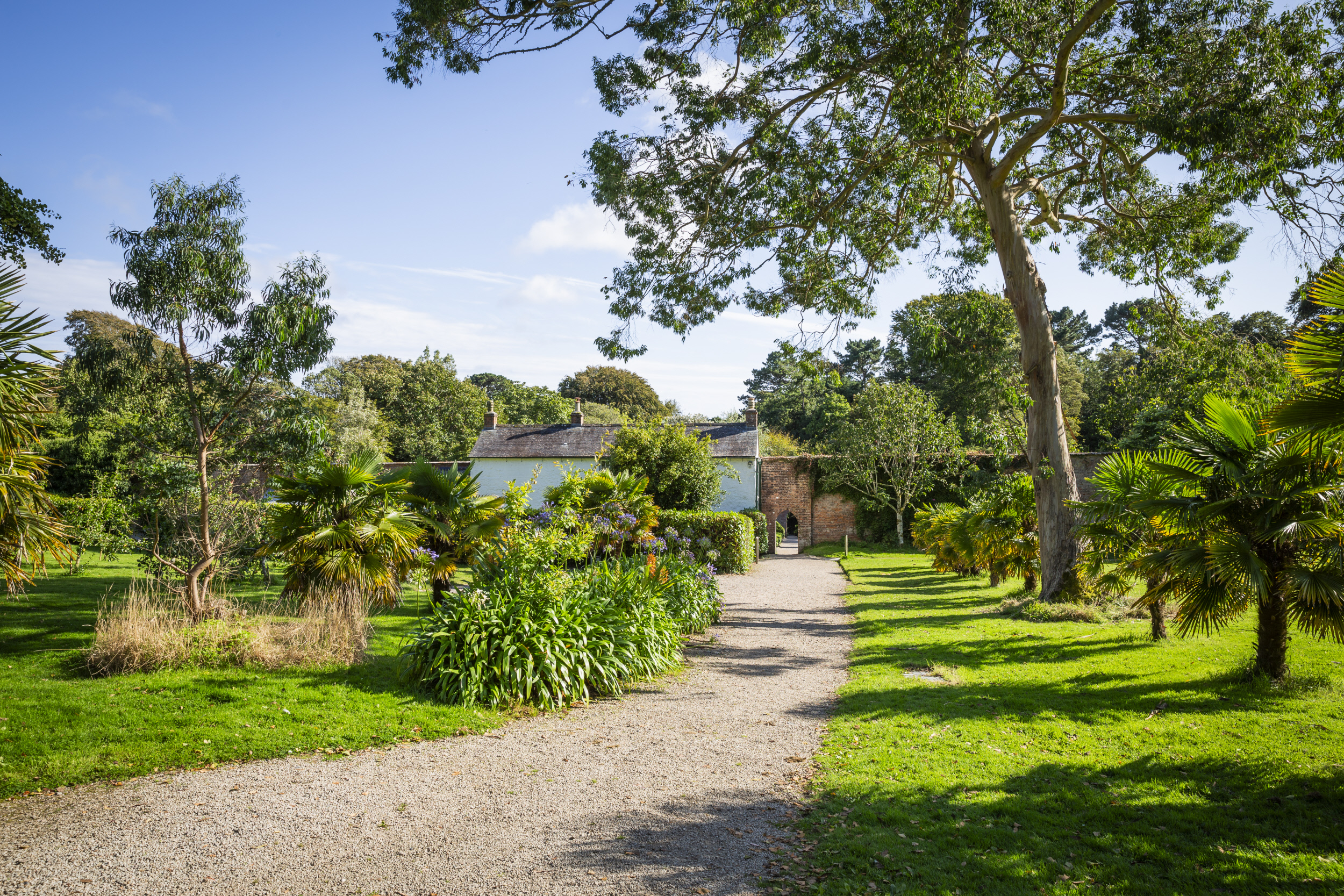 Trengwainton Garden - National Trust