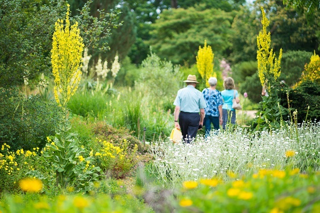 "Photo of The Savill Garden. There is a large amount of greenery with plants, bushes and trees with 3 people walking through the garden"